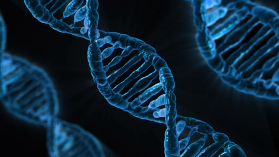 Vědci zjistili, jak vyhodit junk DNA z genomu do koše