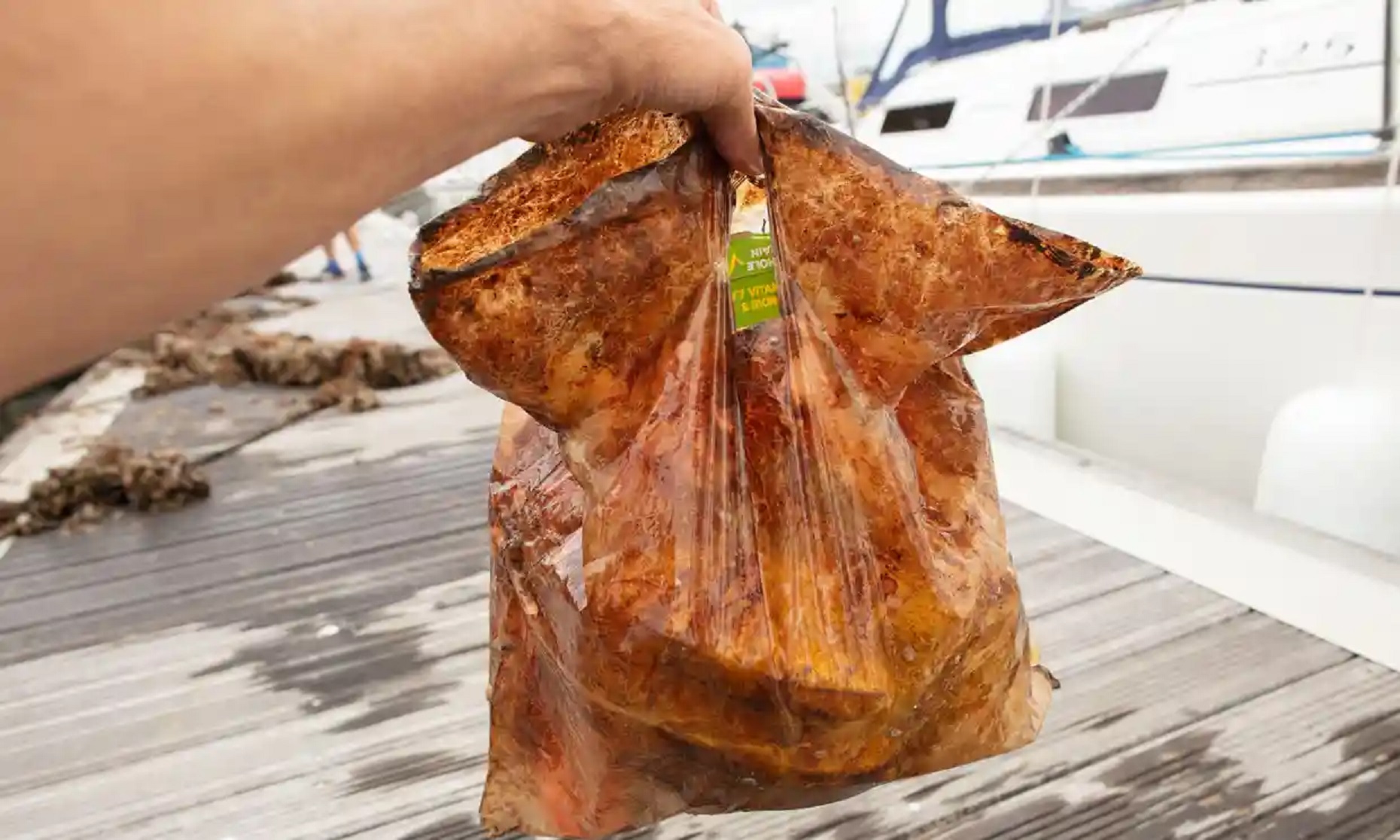 Biodegradovatelný plast je špatně biodegradovatelný. Přežil tři roky rozkladu v půdě