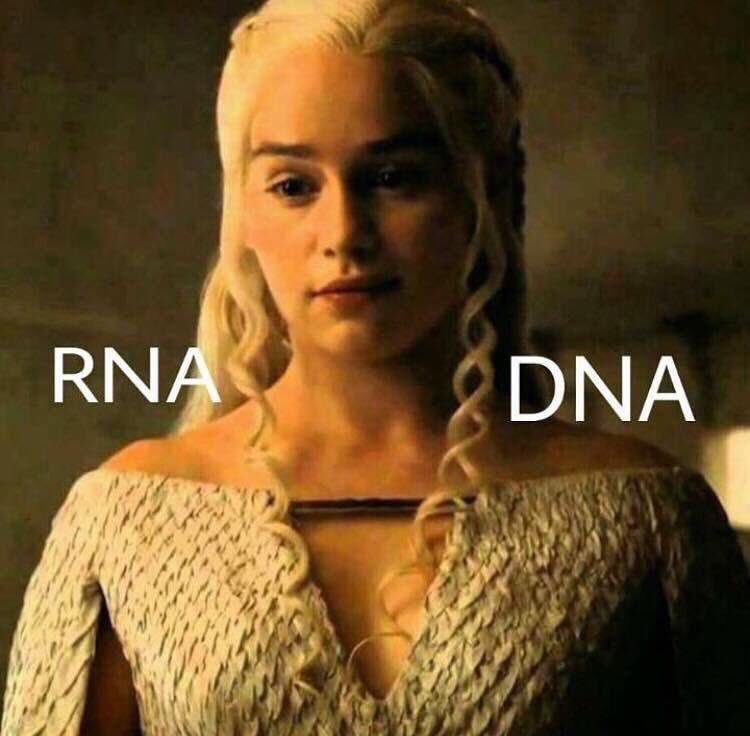 RNA - DNA, neasi. Zdroj: Game of Thrones/HBO