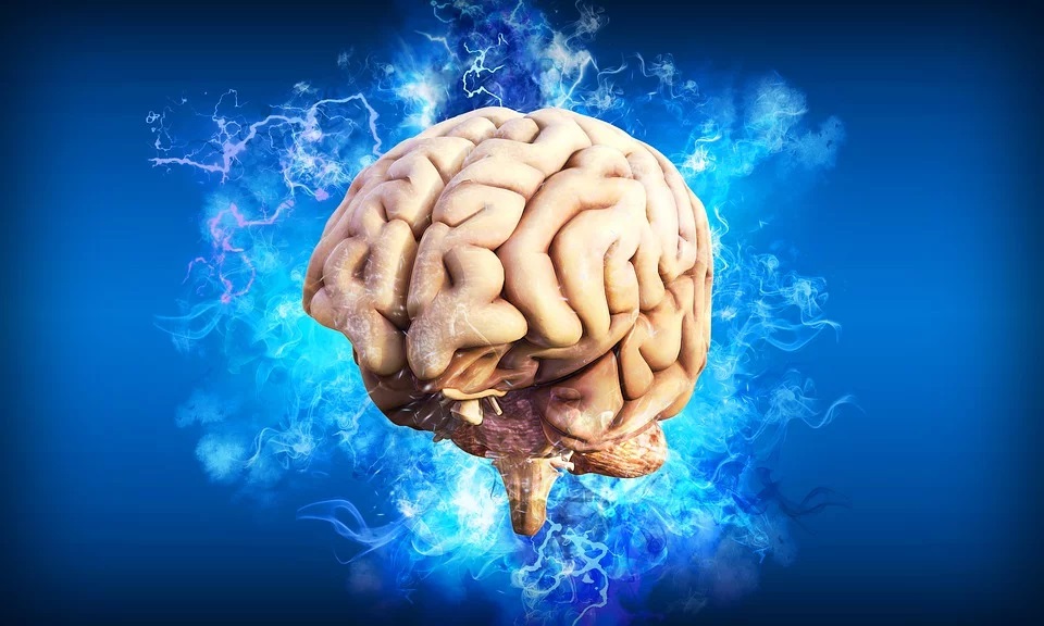 Blokování konců fibril může být novou zbraní v boji proti Parkinsonovi
