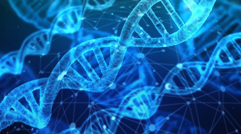 DNA, zdroj: Pixabay