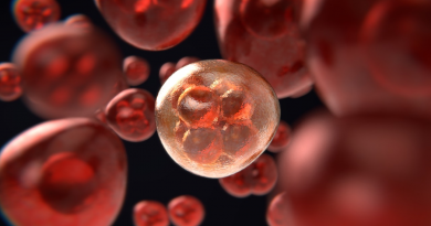 Z cizího cizího nádoru krev neteče? Zdroj: PIxabay
