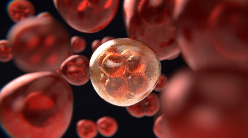 Z cizího cizího nádoru krev neteče? Zdroj: PIxabay