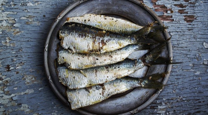 Tyhle sardinky naštěstí nezabily mikroplasty, uff! Zdroj: Pixabay