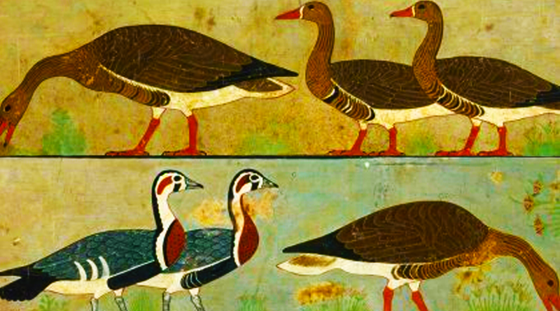 Husy pro dnešní den v egyptské malbě. Zdroj: C.K. Wilkinson.