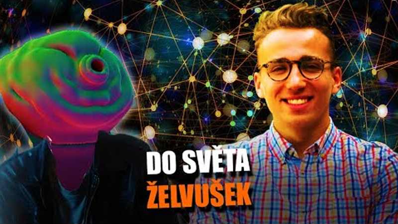 Jak nám studium želvušek může dodat suprschopnosti? Rozhovor s Otou Peško
