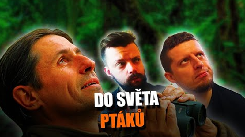 Proč jsou kukačky fascinující ptáci? Rozhovor s Tomášem Grimem
