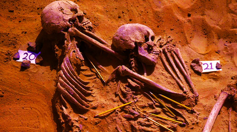 Paleolitické ostatky, neasi. Zdroj: Fond d’Archives Wendorf du British Museum
