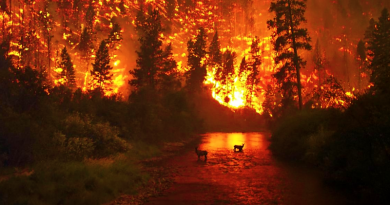 Požáry v Kanadě v roce 2016, neasi. Zdroj: John McColgan/Wikimedia Commons