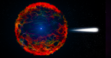 Supernova, neasi. Zdroj: NASA, vlastní
