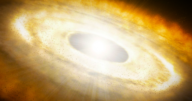 Vize prachového prstence kolem Tabby. Zdroj: ESO