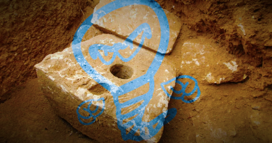 Kamenný záchod z doby železné! Zdroj: Yoli Schwartz, Israel Antiquities Authority