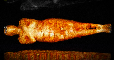 První těhotná mumie! Zdroj: National Museum in Warsaw, Warsaw Mummy Project