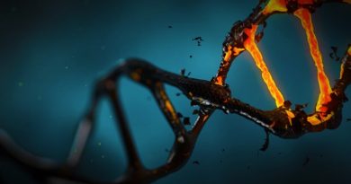 DNA, neasi. Zdroj: Pixabay