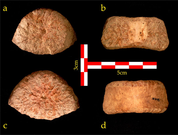 1,5 milionů let starý obrazek! Zdroj: DR. ALON BARASH, BAR-ILAN UNIVERSITY