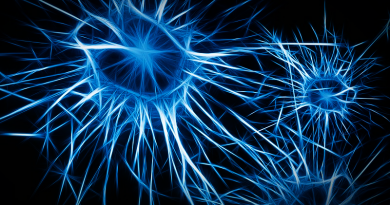 Neurony, neasi. Zdroj: Pixabay