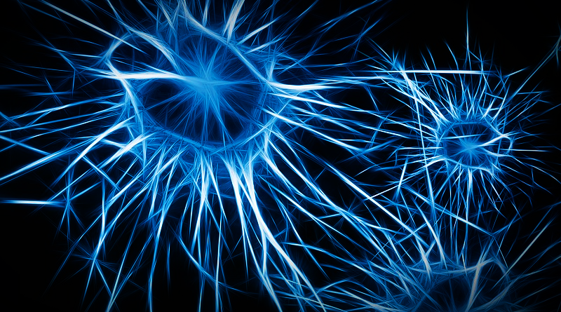 Neurony, neasi. Zdroj: Pixabay
