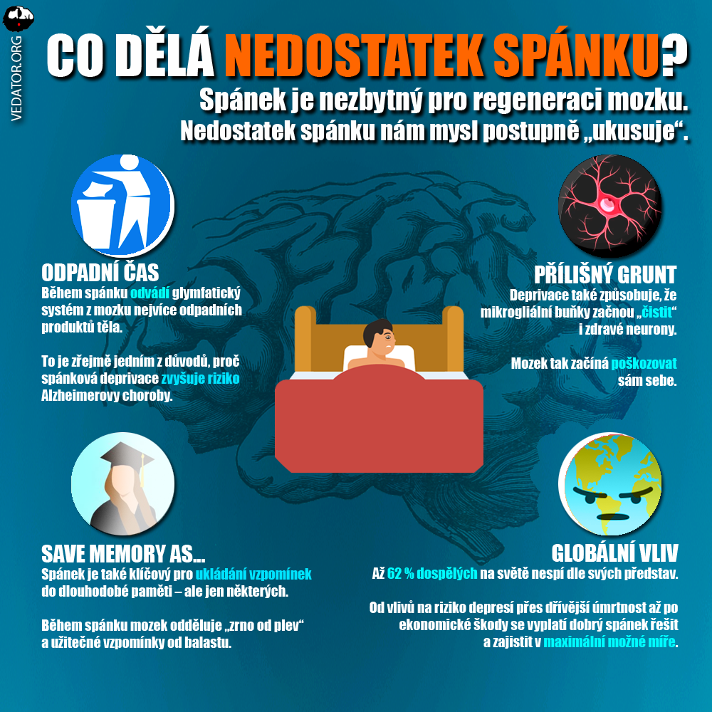 Spánek není vůbec jednoduchá věc. Zdroj: CC BY, vlastní