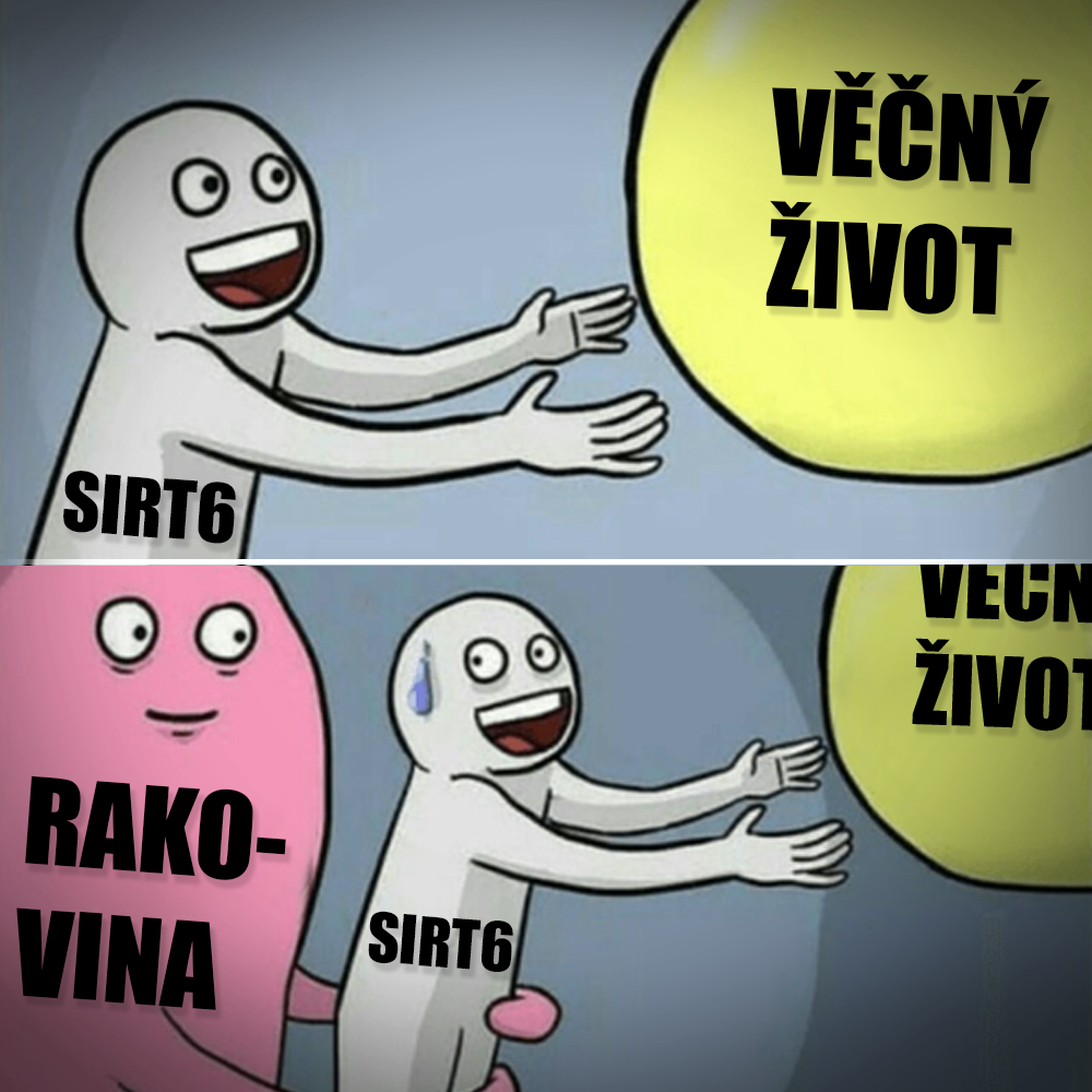 Stárnutí není zábava! Zdroj: Superlmer