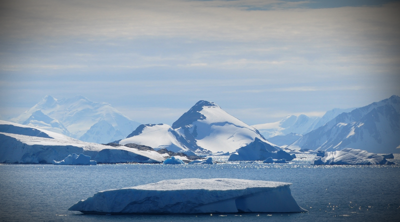 Antarktida, neasik. Zdroj: Vincent van Zeijst