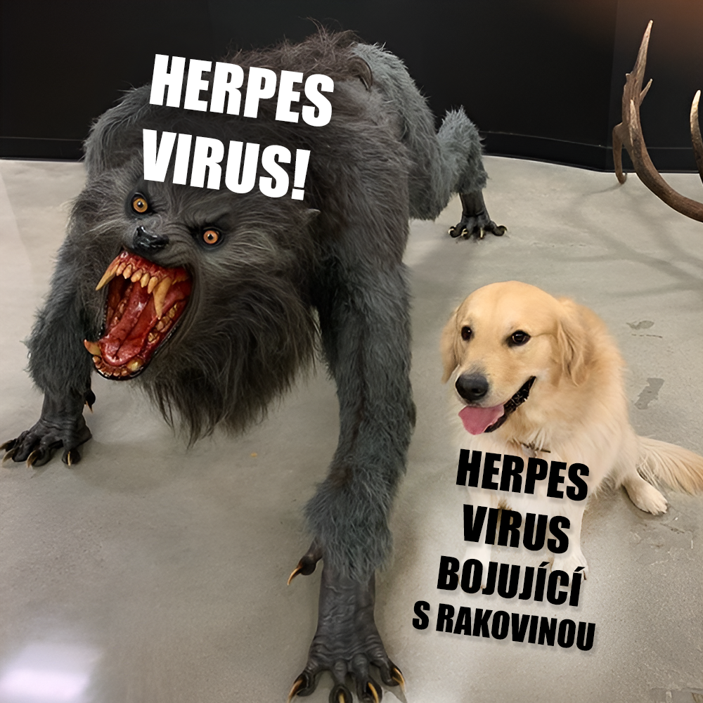 Herpes nemusí jen brát! Zdroj: Joe Rogan (ano, vážně), vlastní