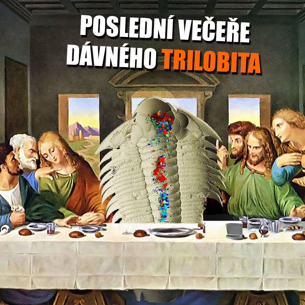 Již brzy ho sežerou jeho apoštolové. Zdroj: V. Vaškaninová/Nature, Leonardo da Vinci