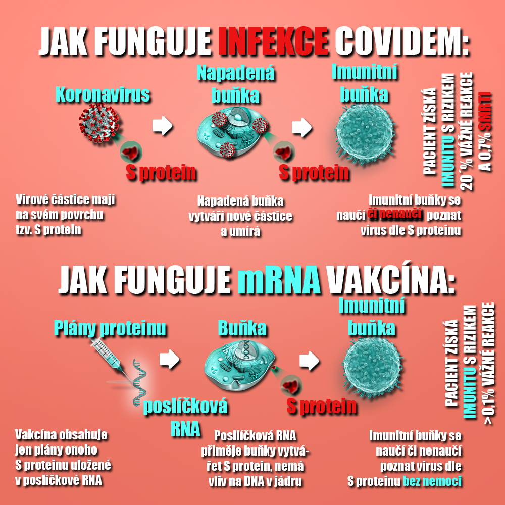 Tři roky stará infografika, kterou člověk stále jako když najde! Zdroj: vlastní