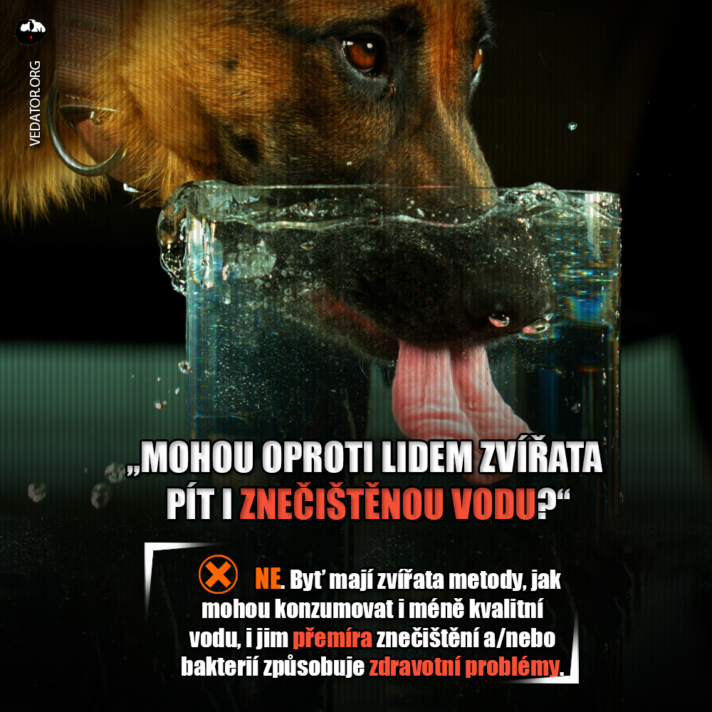 Zdroj: Public Domain