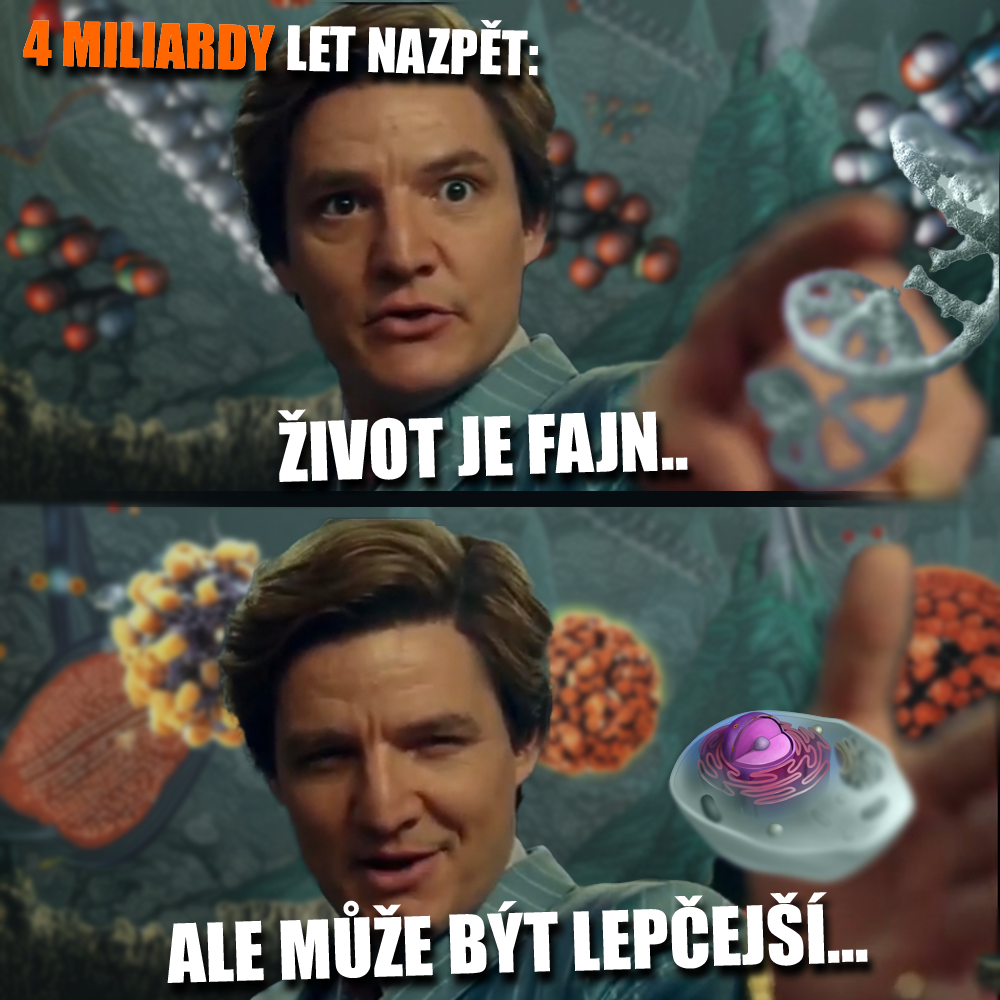 Zdroj: Kevin Hand/Science, Warner Bros., vlastní