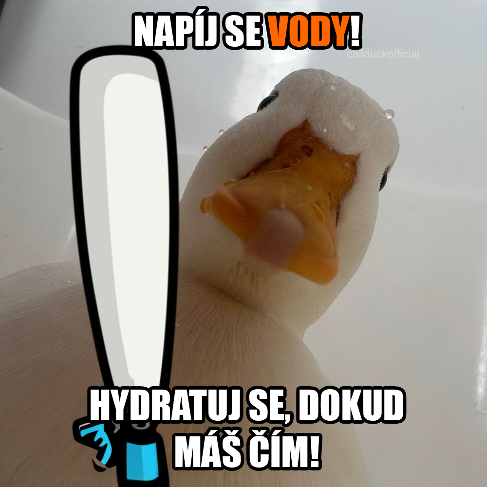 Zdroj: Public Domain