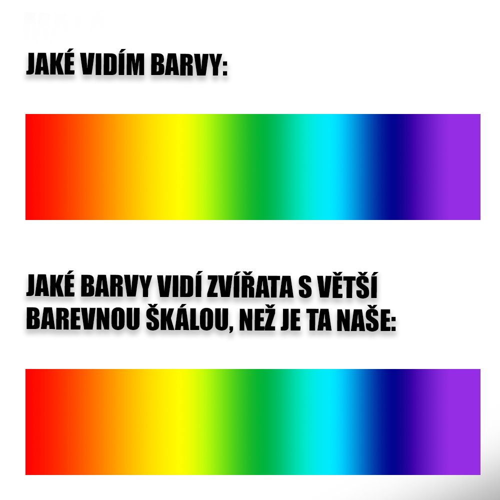 Zdroj: Vlastní