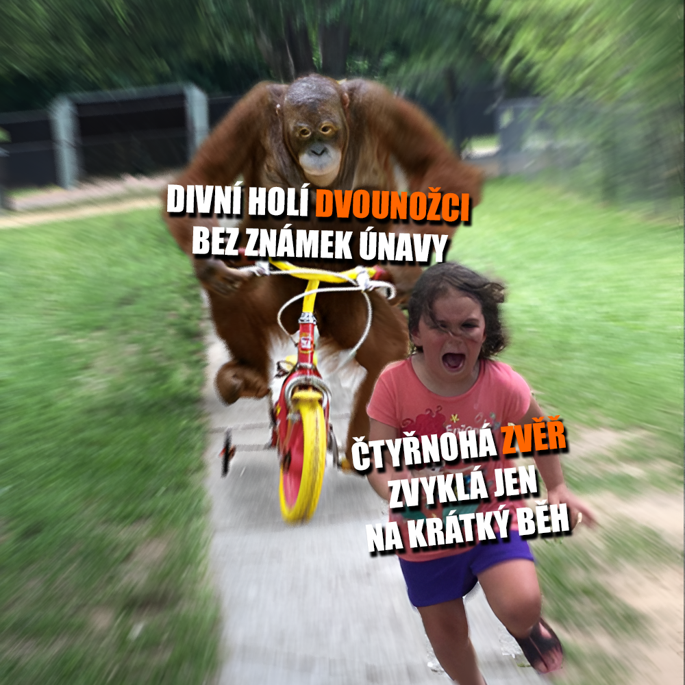 Zdroj: Public Domain