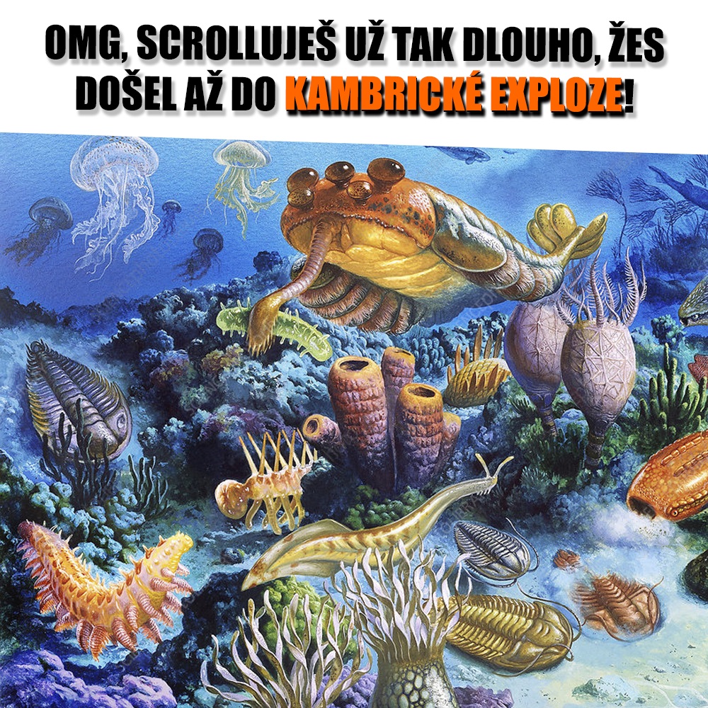 Zdroj: Christian Jegou, Science Photo Library, vlastní