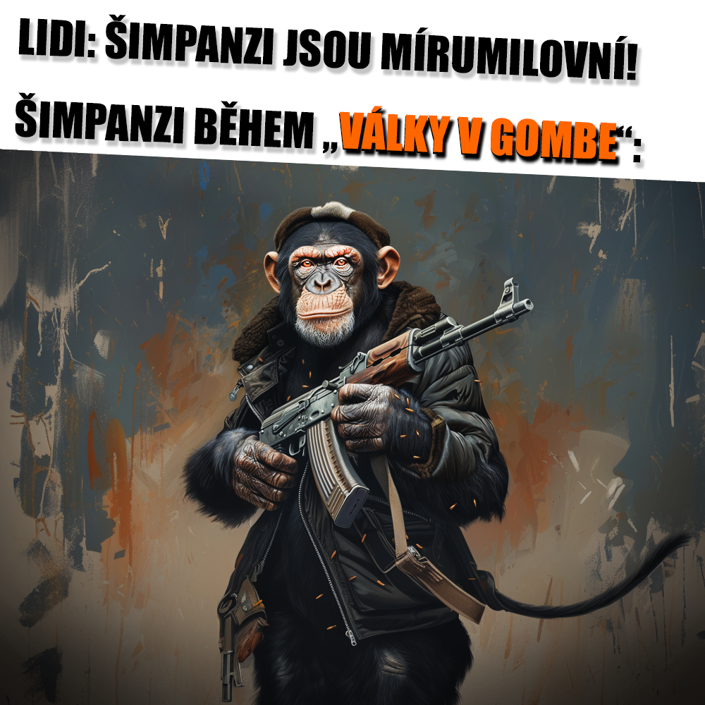 Bombe v Gombe! Zdroj: MJ/vlastní