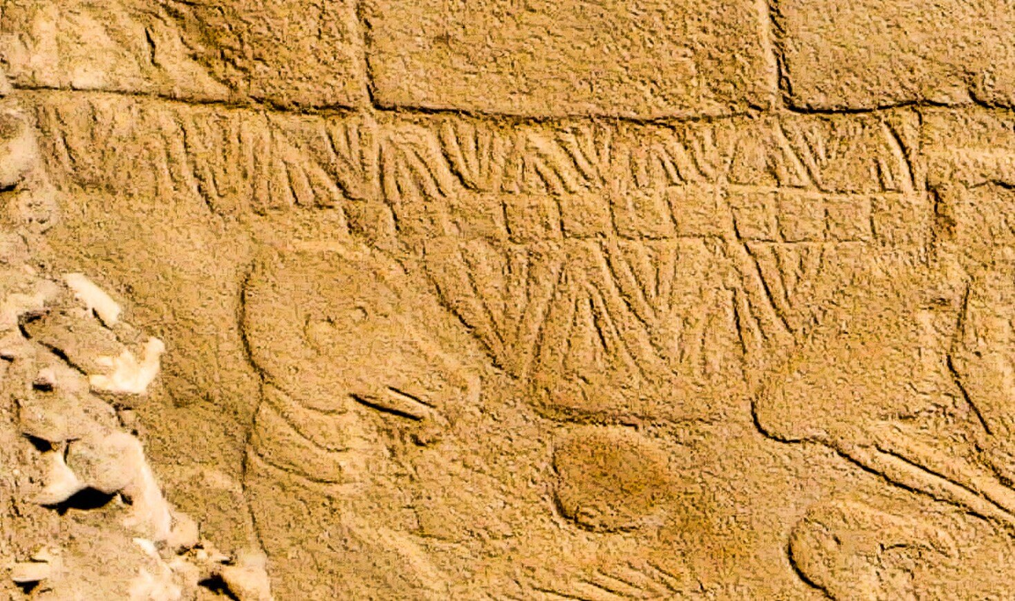 Řezby v Göbekli Tepe představují možná nejstarší kalendář na světě. Zdroj: Dr. Martin Sweatman