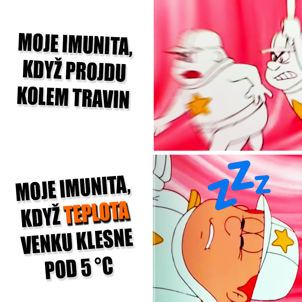 Zdroj: Canal+, vlastní