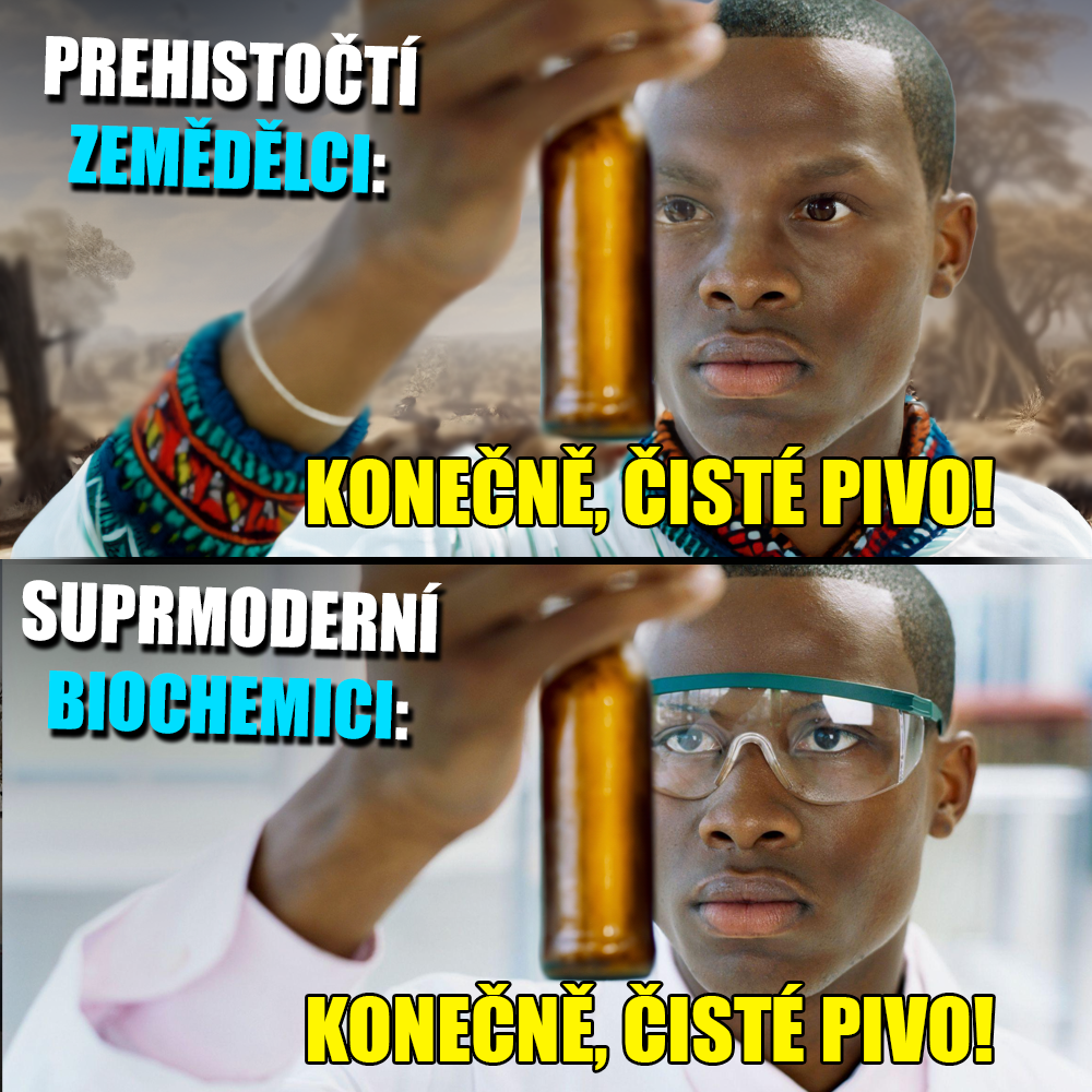 Pivo je věčné! Zdroj: Public Domain, vlastní