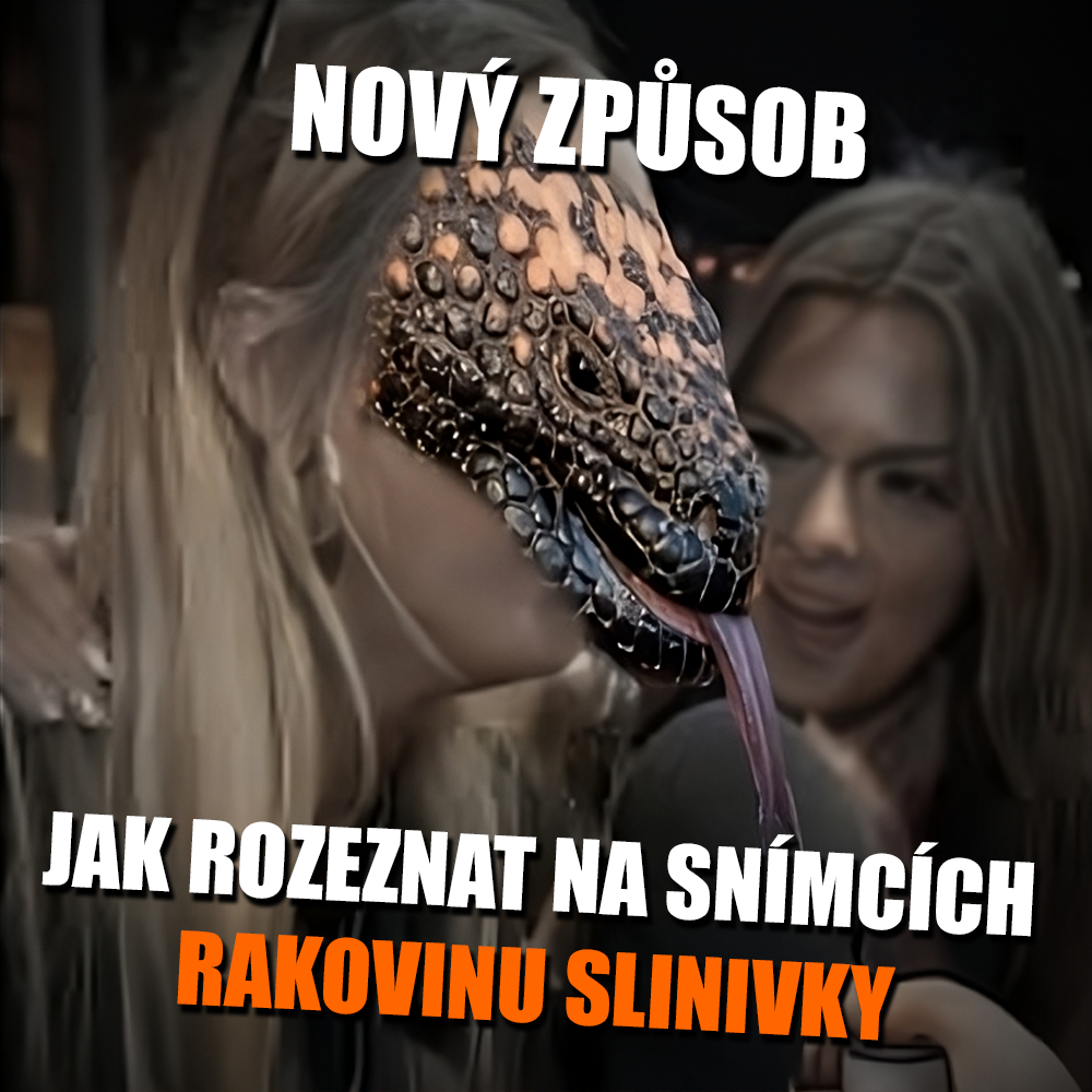 Zdroj: im & Dee TV, Haliey Welch, 2024; Michele Weisz, flicker.com
