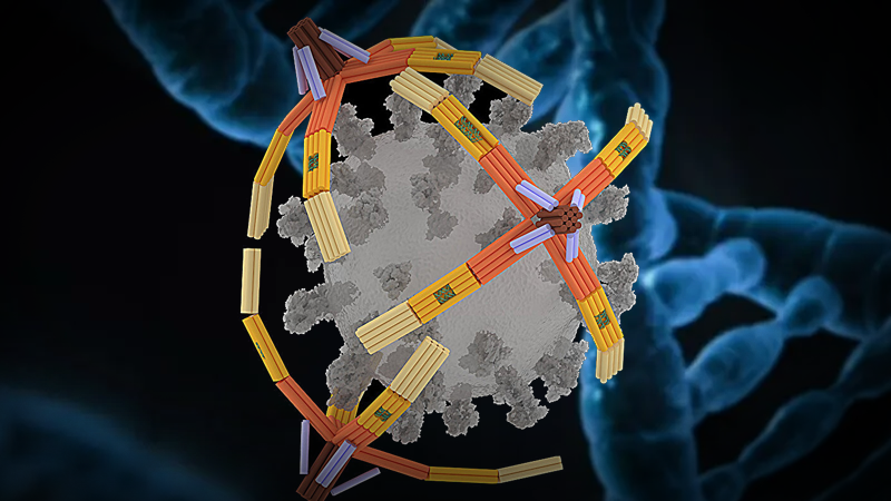 Vytvořen nanorobot z DNA schopný chytat viry do nanorukou