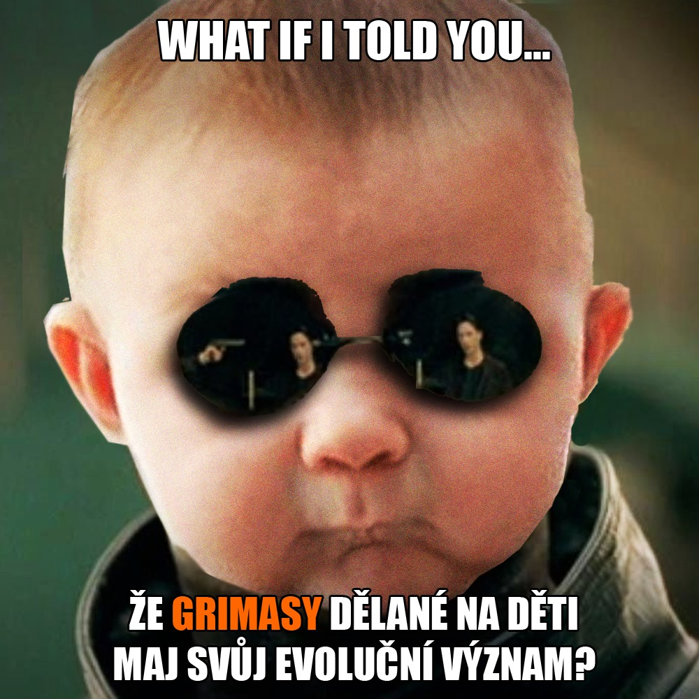 Zdroj: foto Jarod Knoten/Skeptical Baby, WarnerBros./Matrix, Vlastní
