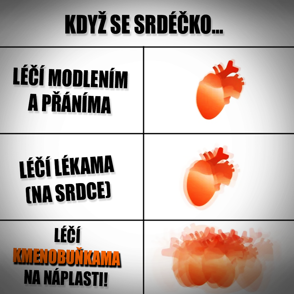Biotisk a kmenové buňky jsou párem pro tento rok! Zdroj: Public Domain, vlastní