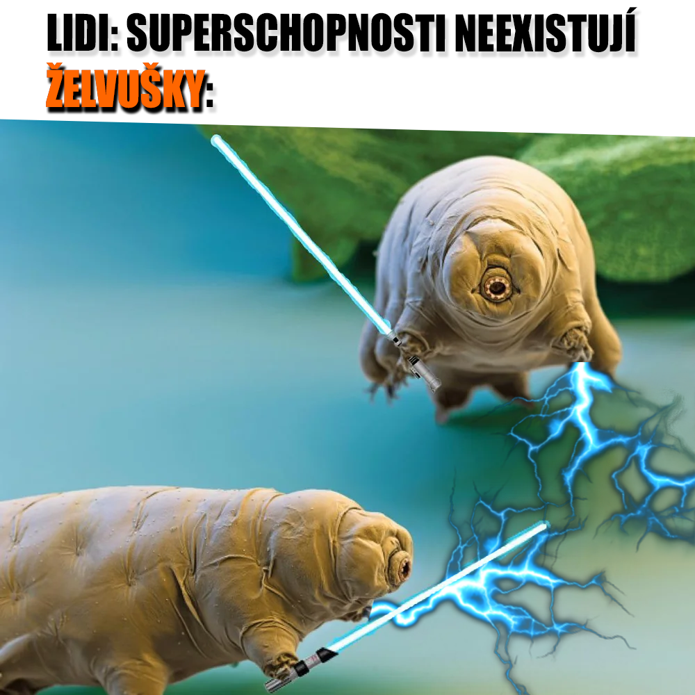 Inspirativní želvušky! Zdroj: reddit, vlastní