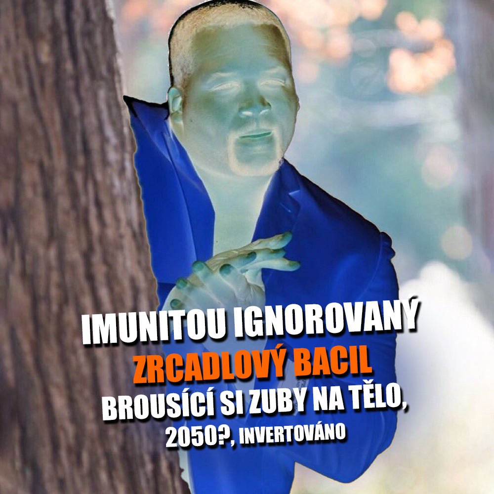 Zrcadlový život ještě neexistuje, ale nemusí tomu tak být nafurt... Zdroj: Anthony "Spice" Adams