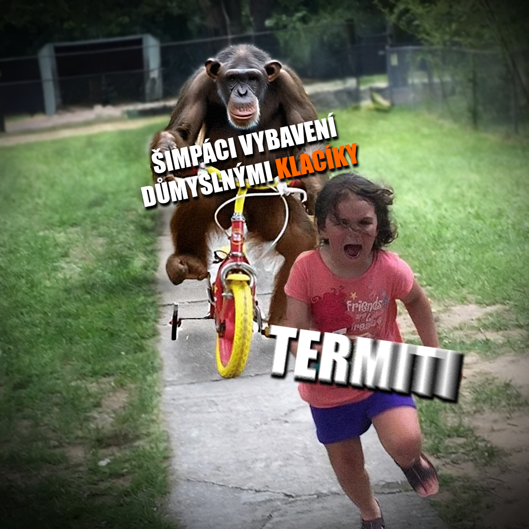 Šimpanzi v tom umí chodit. I jezdit. Zdroj: Reddit/bwaxse & Andrew Villasis/Eror404, vlastní