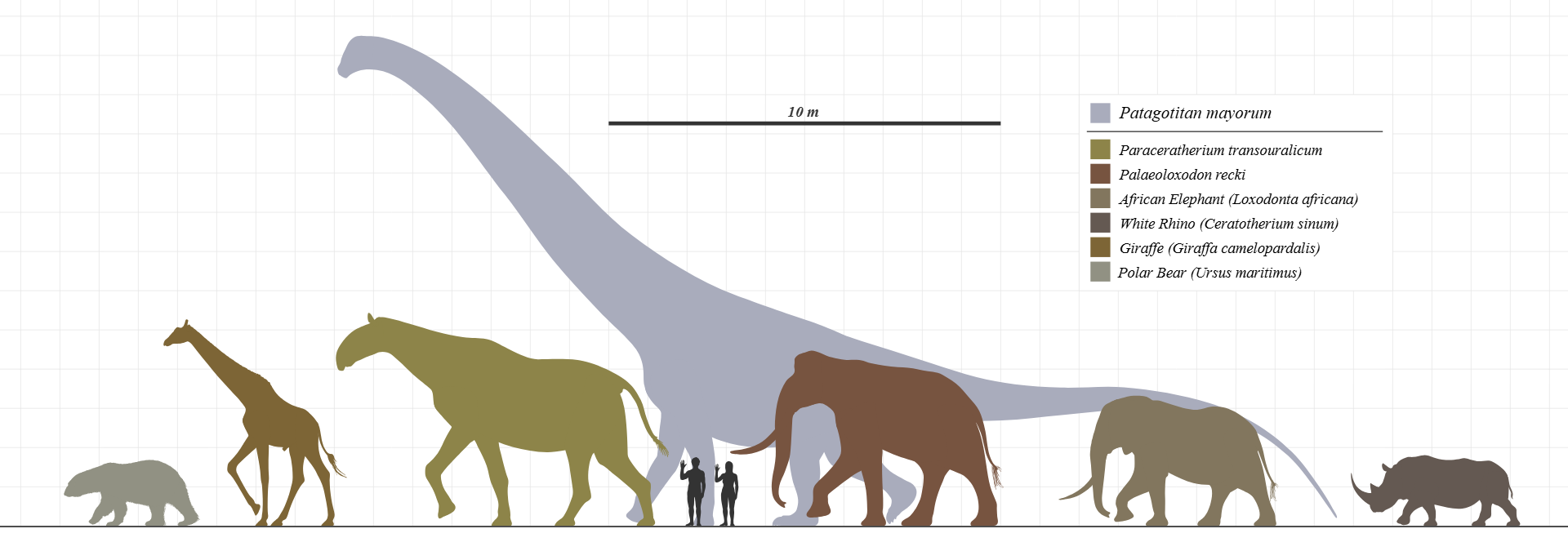 Největší známý dinoš vs. savci minulí i současní. Zdroj: WIkipedia/CC BY, Steveoc 86