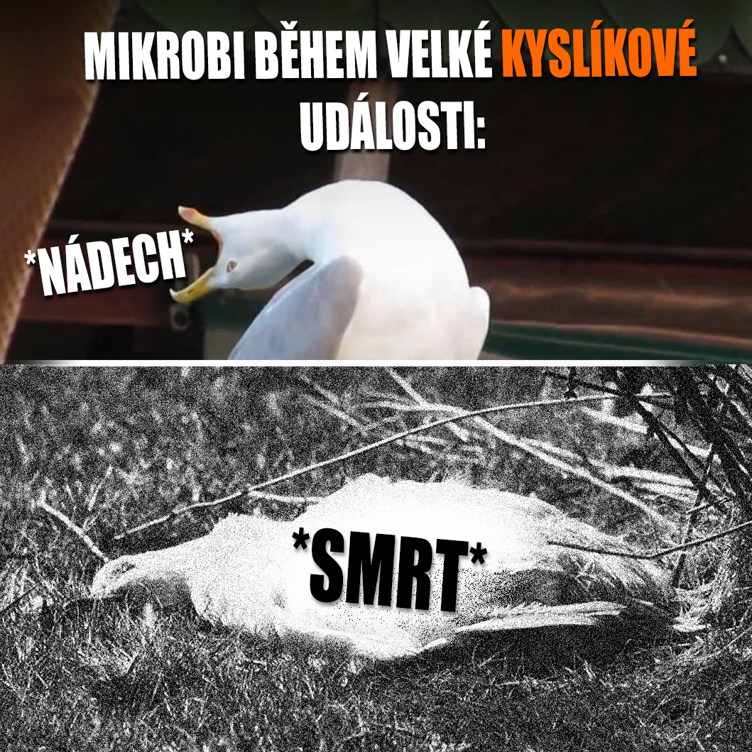 Velká kyslíková událost nebyla pro mnohé příjemná... Zdroj: Public Domain