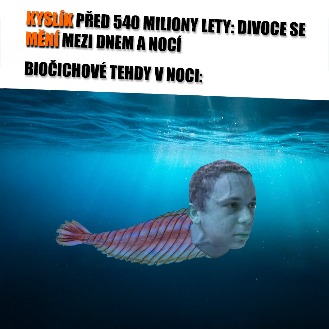 Kambrium nebylo pro másla. Zdroj: Nobu Tamura/Wikipedia, vlastní