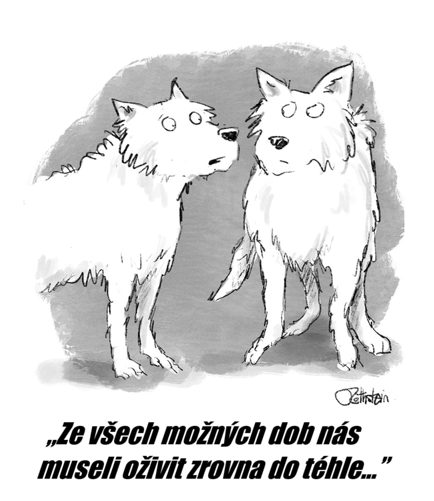 Zdroj: New Yorker