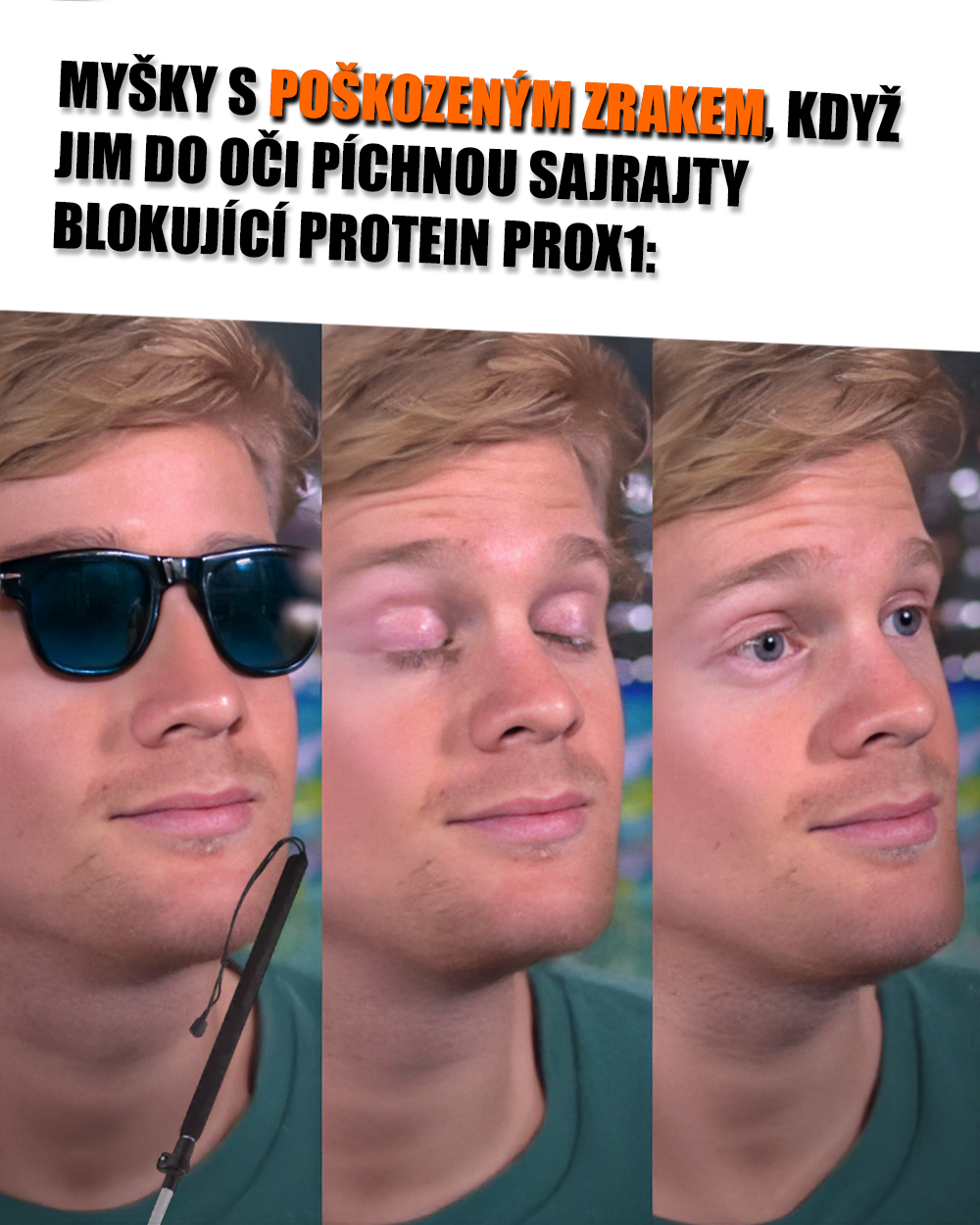 Kurýrování slepoty blíž realitě! Snad tedyk. Zdroj: Giant Bomb, vlastní