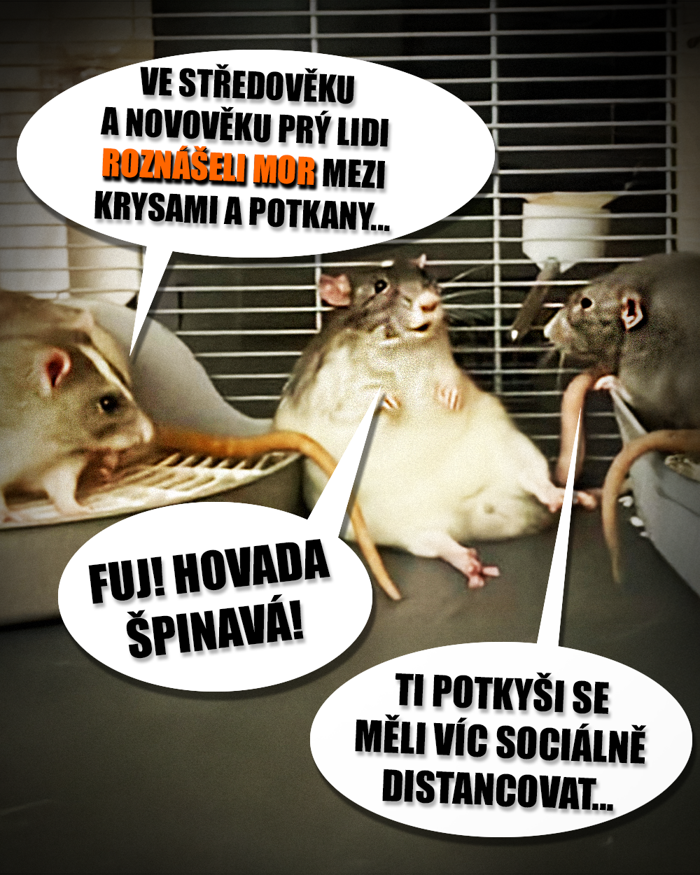 Tell me mor! Zdroj: Potkan Magni, potkan Modi, potkan Mery, vlastní
